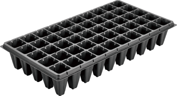 Tall tray with 50 cells
