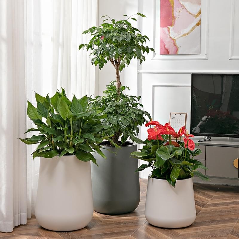 short planter