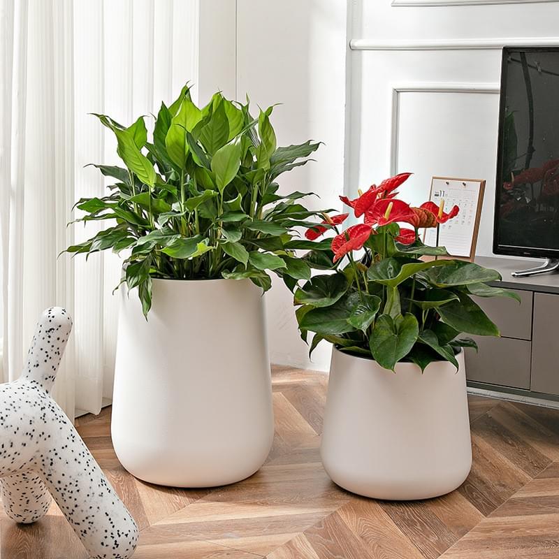 short planter