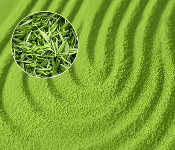 culinary vs ceremonial matcha