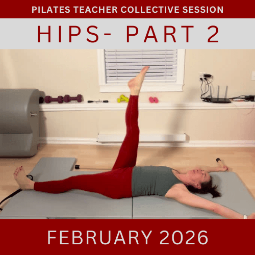 Join our monthly collaborative meetings to explore common themes and challenges faced by Pilates Teachers in a supportive environment. Collective Sessions What We Offer I run programs for Pilates Teachers to support their journey, build their confidence and share the legacy of the Classical Pilates Method.

The first program is Contrology Coach. It is 8 weeks of 50 minute weekly meetings and semi-weekly private lessons. It is for Classically Trained or Classically Curious Teachers who want to focus equally on their own practice and their teaching.

The second program is called Contrology Club. It is 8 weeks of 80 minute weekly meetings. It is for Classically trained teachers (or those who have gone through a term of Contrology Coach) who want to dive into the system. Each week, we examine an exercise or two, diving into who it is for, some of the goals or benefits and explore how the system (ie both the exercises and apparatus) help to build, progress and challenge this exercise.

The third program is a monthly meeting series called Collective Sessions. These are 90 minute collaborative explorations into themes, exercises or common challenges we all face as Pilates Teachers.