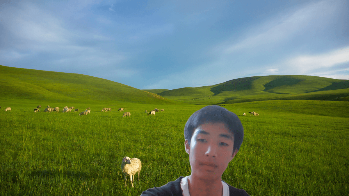 broken image
