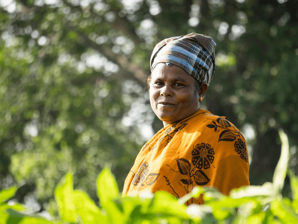 african woman, grass, field, farm