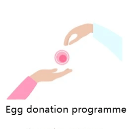 Egg donation programme