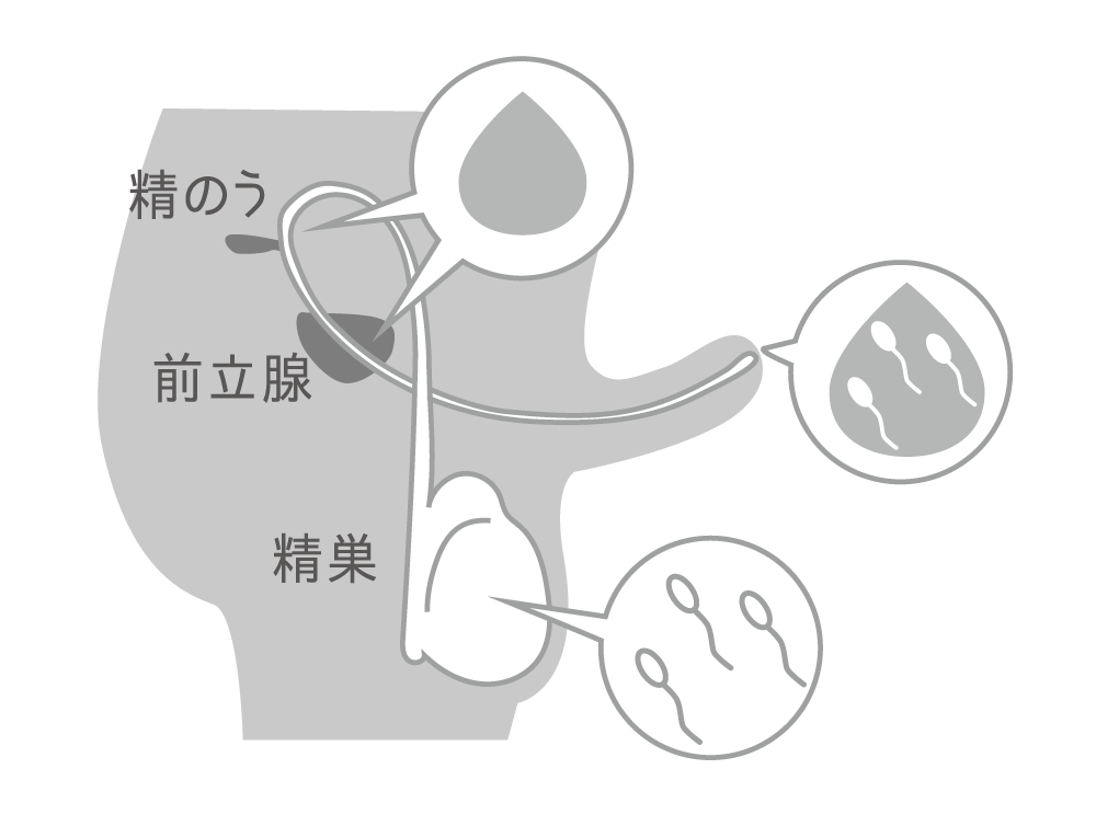 精液検査について - 株式会社ダンテ