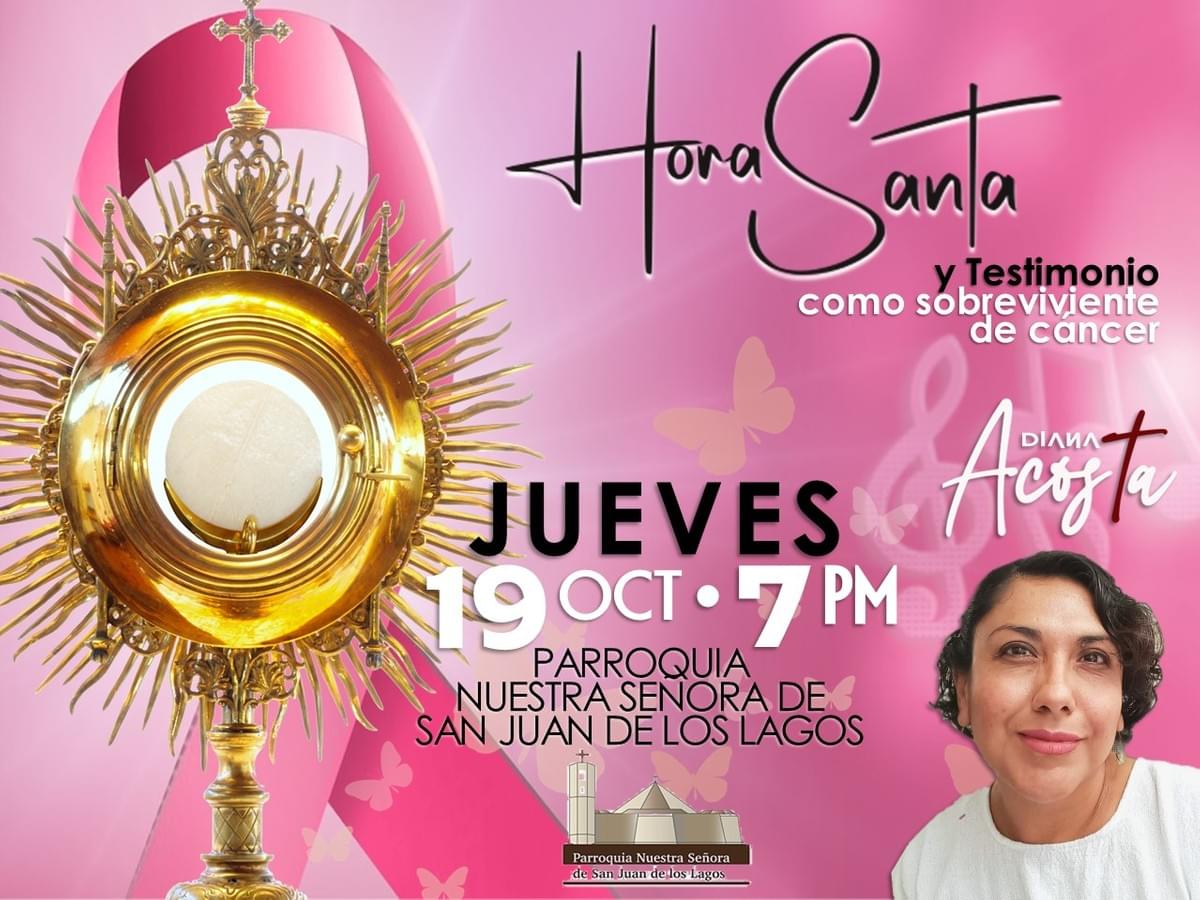 Imagen 6