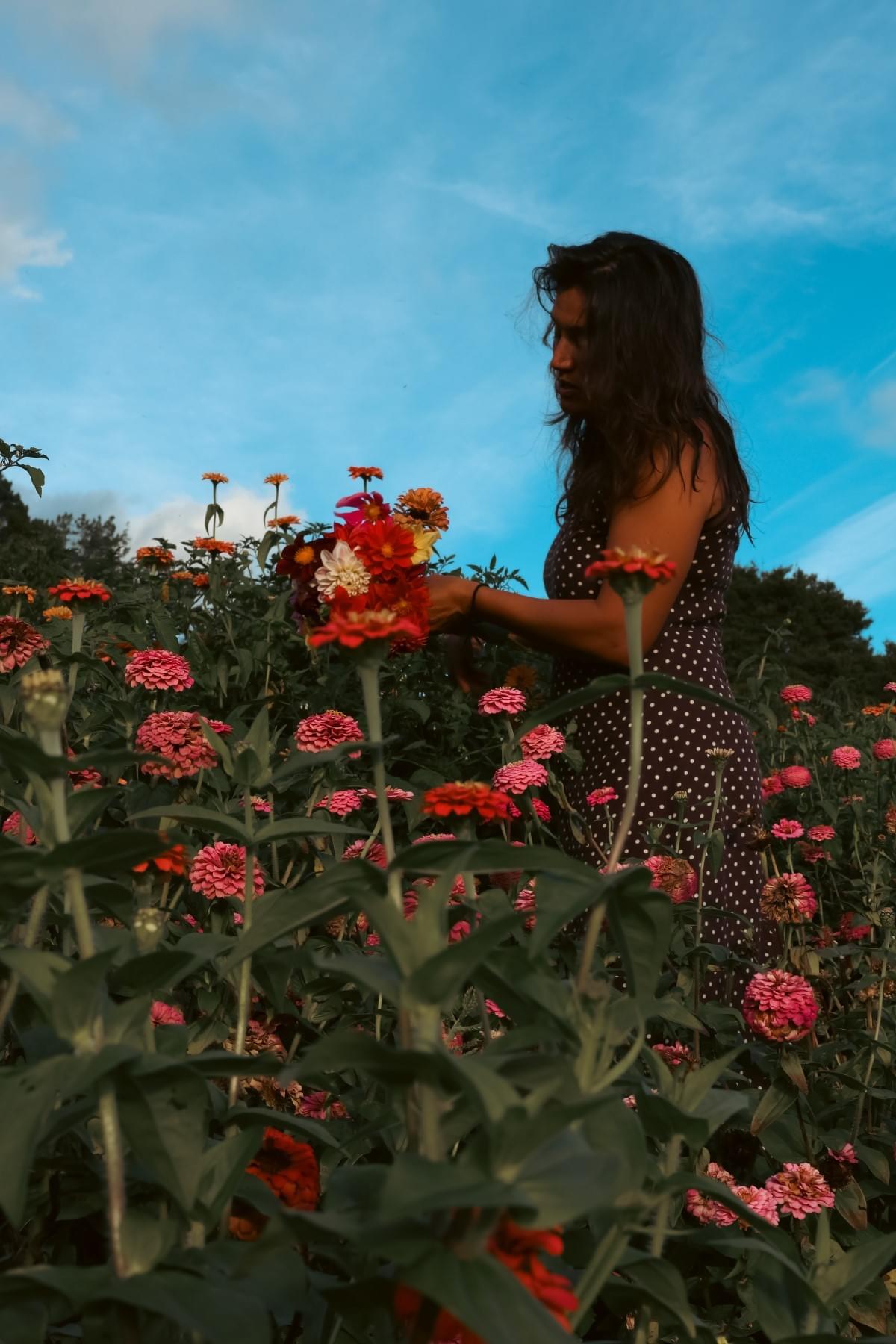 Serena lost in her garden in the Hokianga absorbing the beauty of the zinnia flowers.