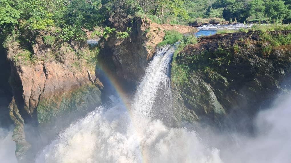 Experience Uganda's rich biodiversity with our knowledgeable guides. We take you deep into the heart of the wilderness for unforgettable encounters. Guided Wildlife Tours What We Offer At Baros Safaris Adventure Uganda, we don’t just show you places — we create moments that stay with you forever. With experienced guides, comfortable travel options, and a commitment to conservation and community, we ensure your journey through Uganda is safe, meaningful, and magical.