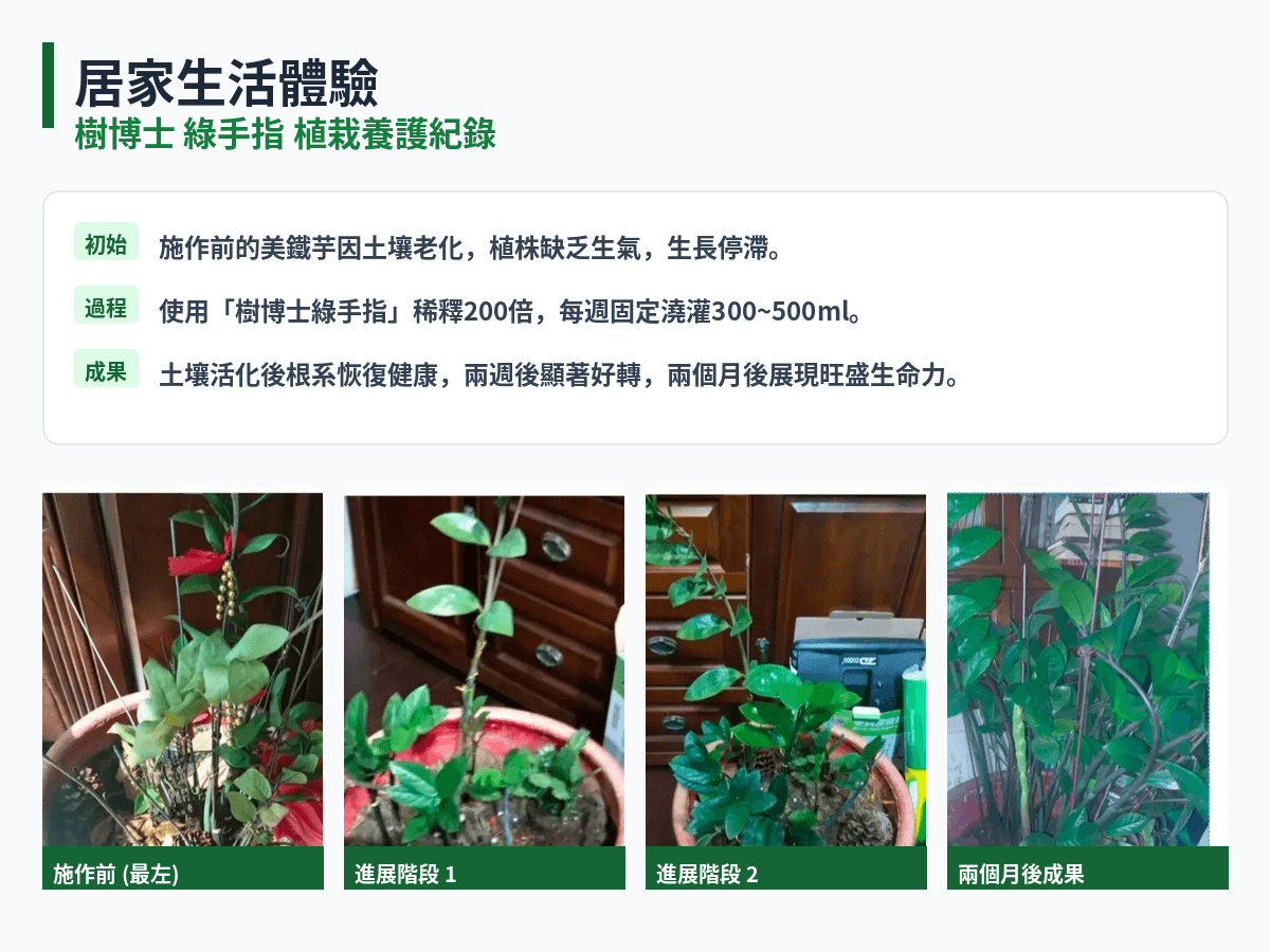 樹博士 綠手指 