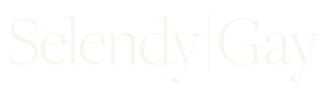 Selendy Gay logo black text