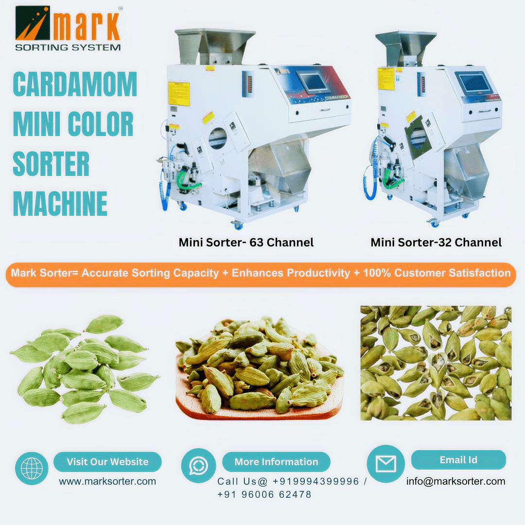 mini color sorter machine for rice