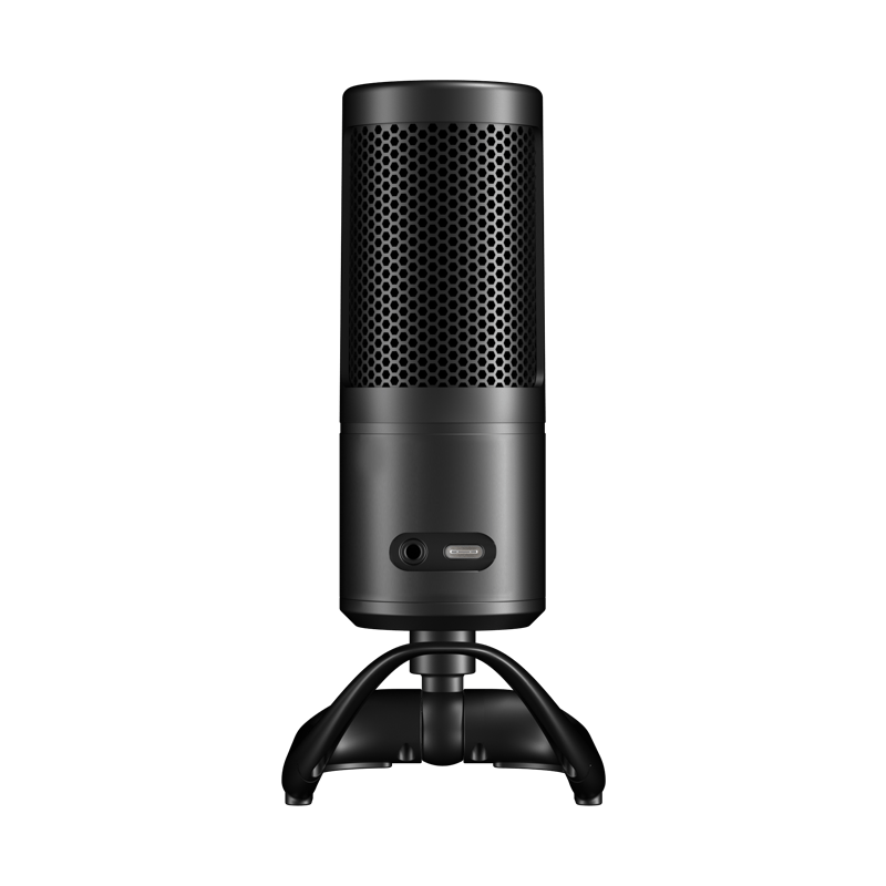 Camera microphone