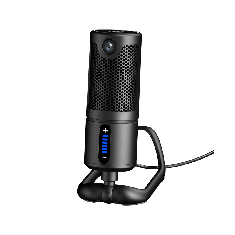 Camera microphone