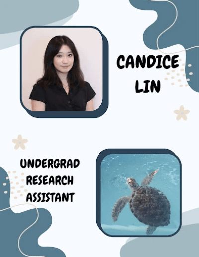 Picture of Candice (an undergraduate research assistant) and their favorite animal, a turtle!!