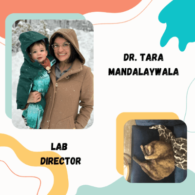 Picture of Tara (lab director) and their favorite animal, their cat Punkerton!