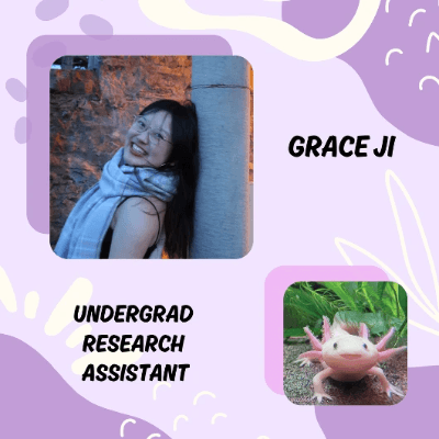 Picture of Grace (an undergraduate research assistant) and their favorite animal, an axolotl!!