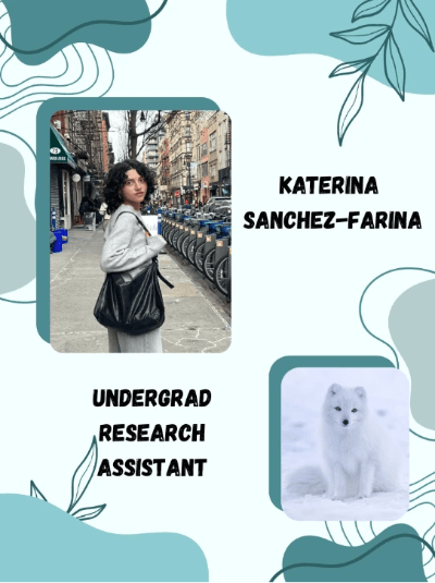 Picture of Katerina (an undergraduate research assistant) and their favorite animal, an arctic fox!