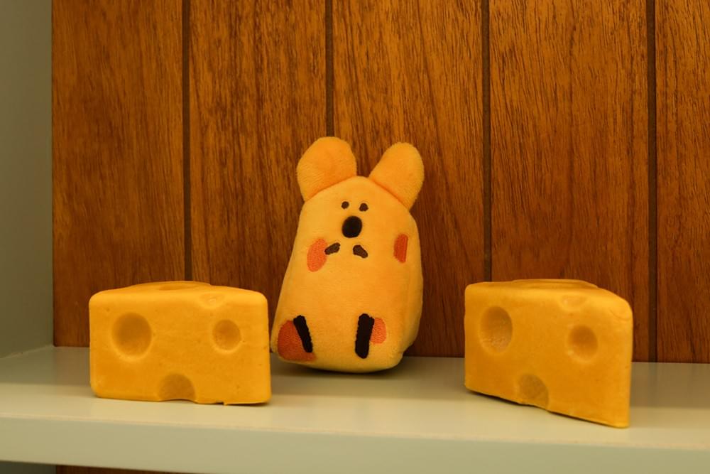 [다이노탱] Cheeze Quokka Plush Doll