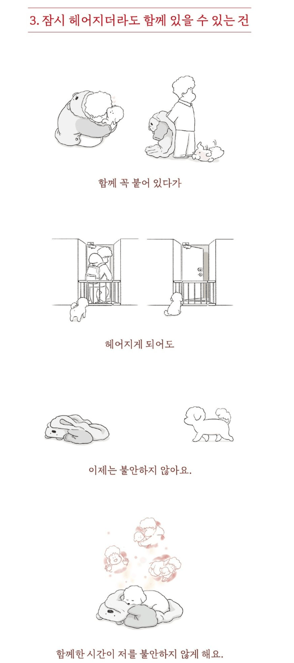또리의 꿈