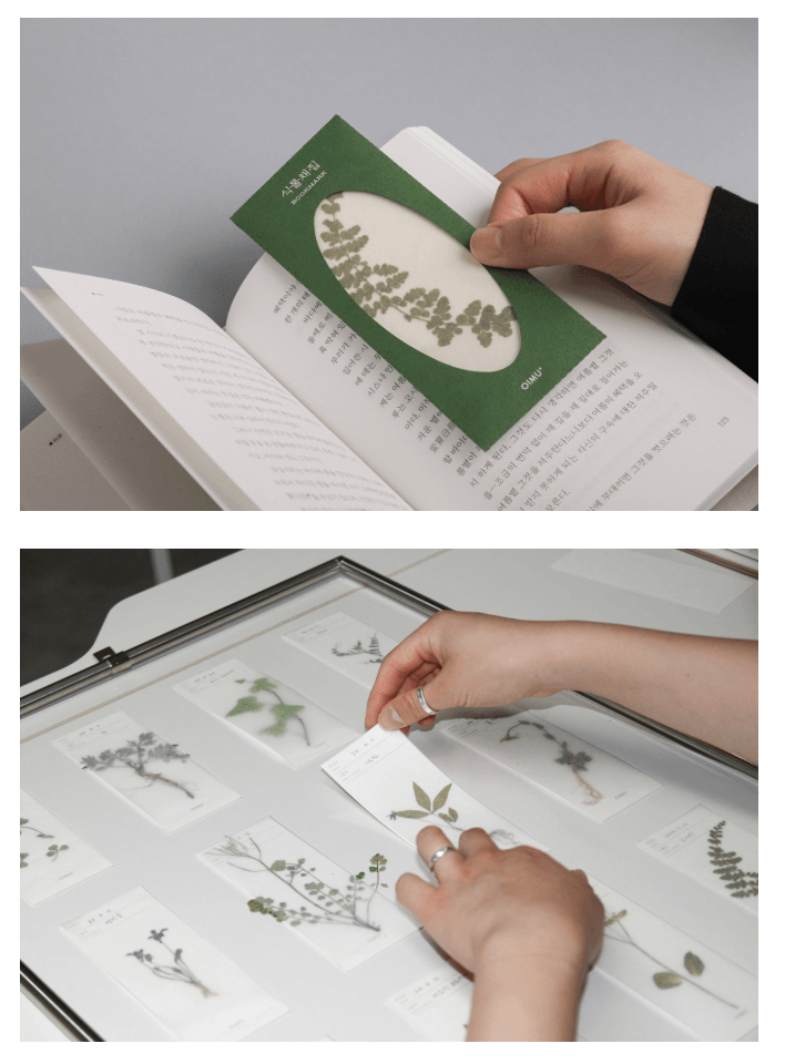 [오이뮤] 植物收藏布書簽 - Cosmos