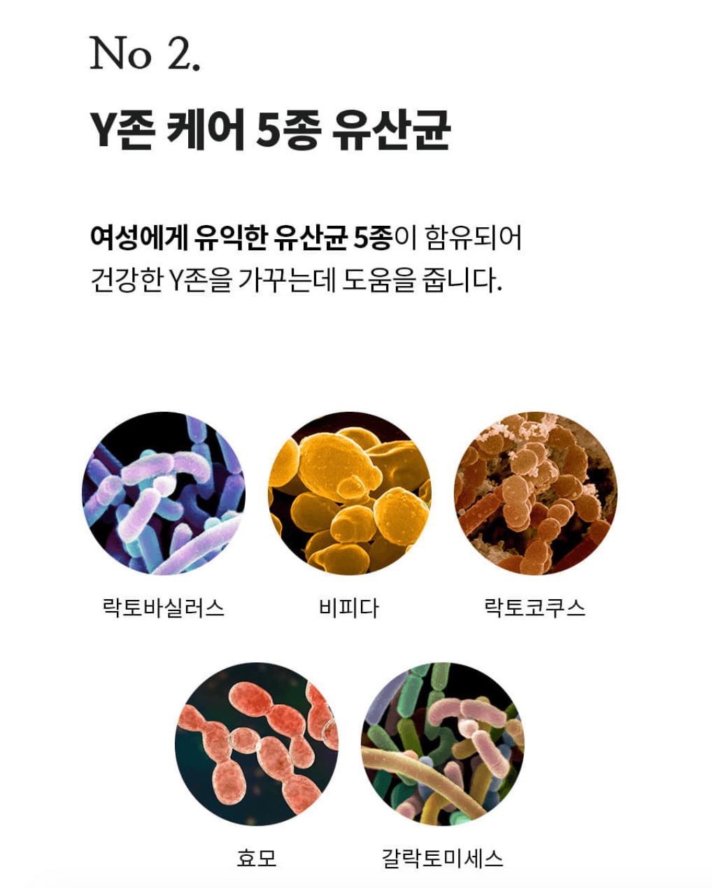 Nightly night女士益生菌香水（30ml)