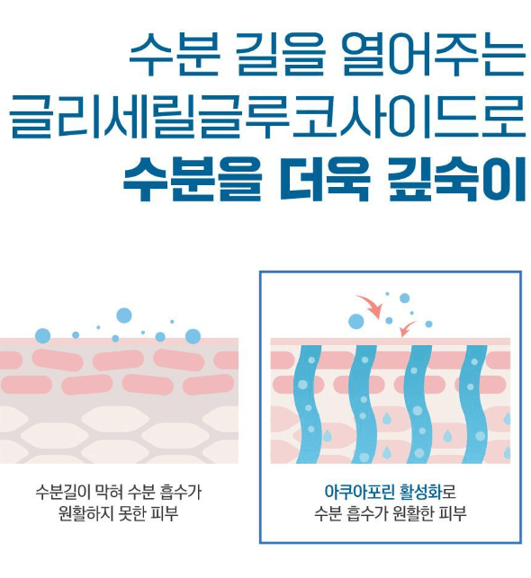 Round Lab  樺木保濕防曬乳50ml 1+1限量版（+30ml）