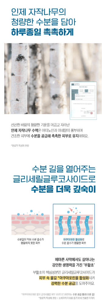 Round Lab 樺樹保濕霜 80ml (+20ml)