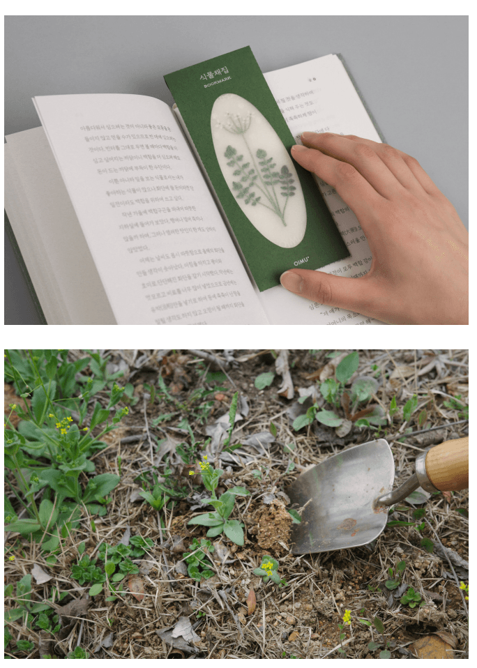 [오이뮤] 植物收藏布書簽 - 芹菜