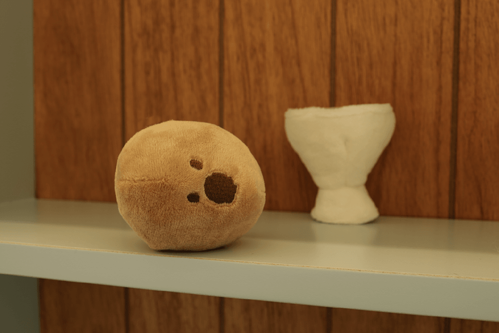 [다이노탱] Soft Boiled Quokka Egg