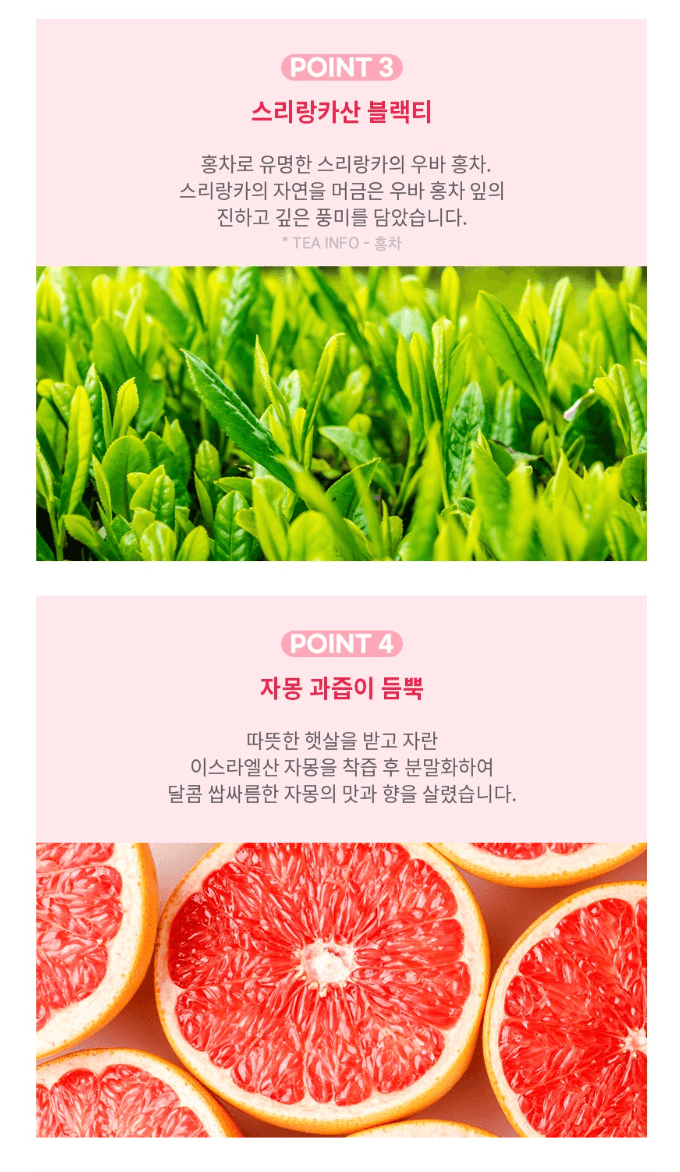 ourtea 果乾茶包 （紅色-香橙西柚紅茶8包） 