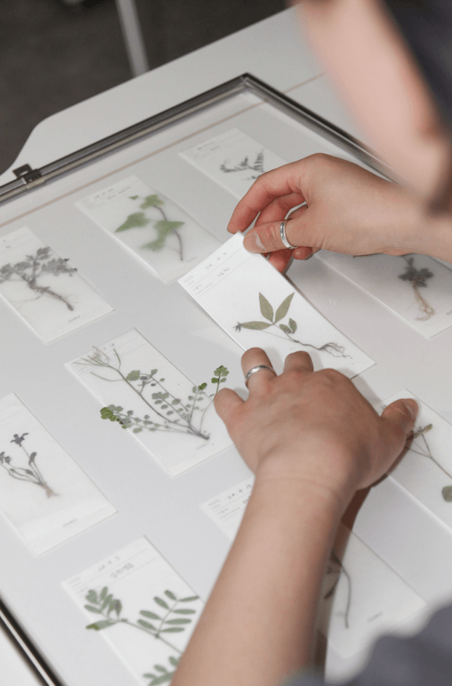 [오이뮤] 植物收藏布書簽 - 紅豆