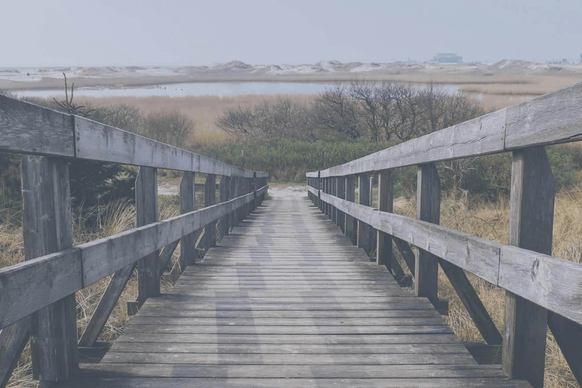 Stratégie Biodiversité