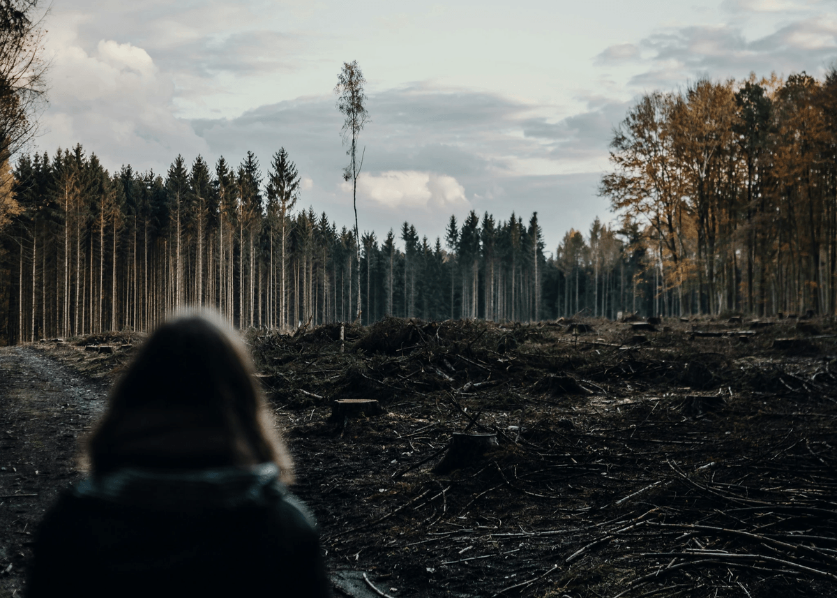Pressions entreprises biodiversité