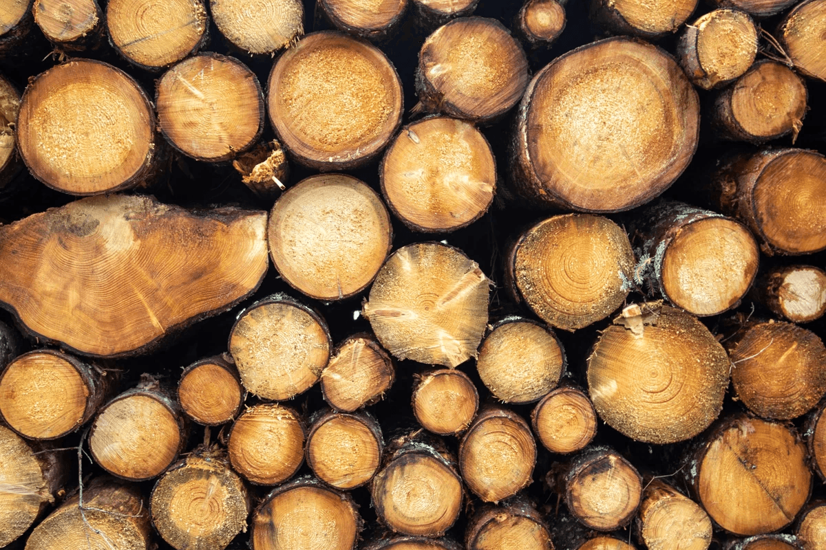 Dépendances Services écosystémiques