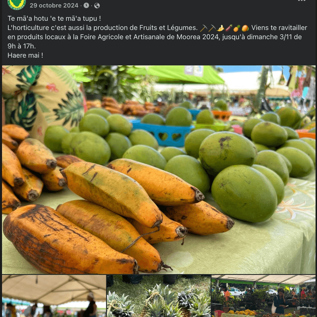 We write and publish engaging posts in French and Tahitian to maximize your reach. Management of Social Networks Our Mission I take care of the web presence of companies and associations, by creating a website for them. I take photos and videos of their activity, then I edit them to publish on social networks (Facebook and Instagram), and I write the posts in French and Tahitian.