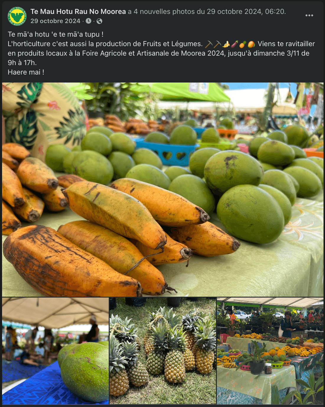 Te Heiva Fa'a'apu e Rima'i no Moorea 2024