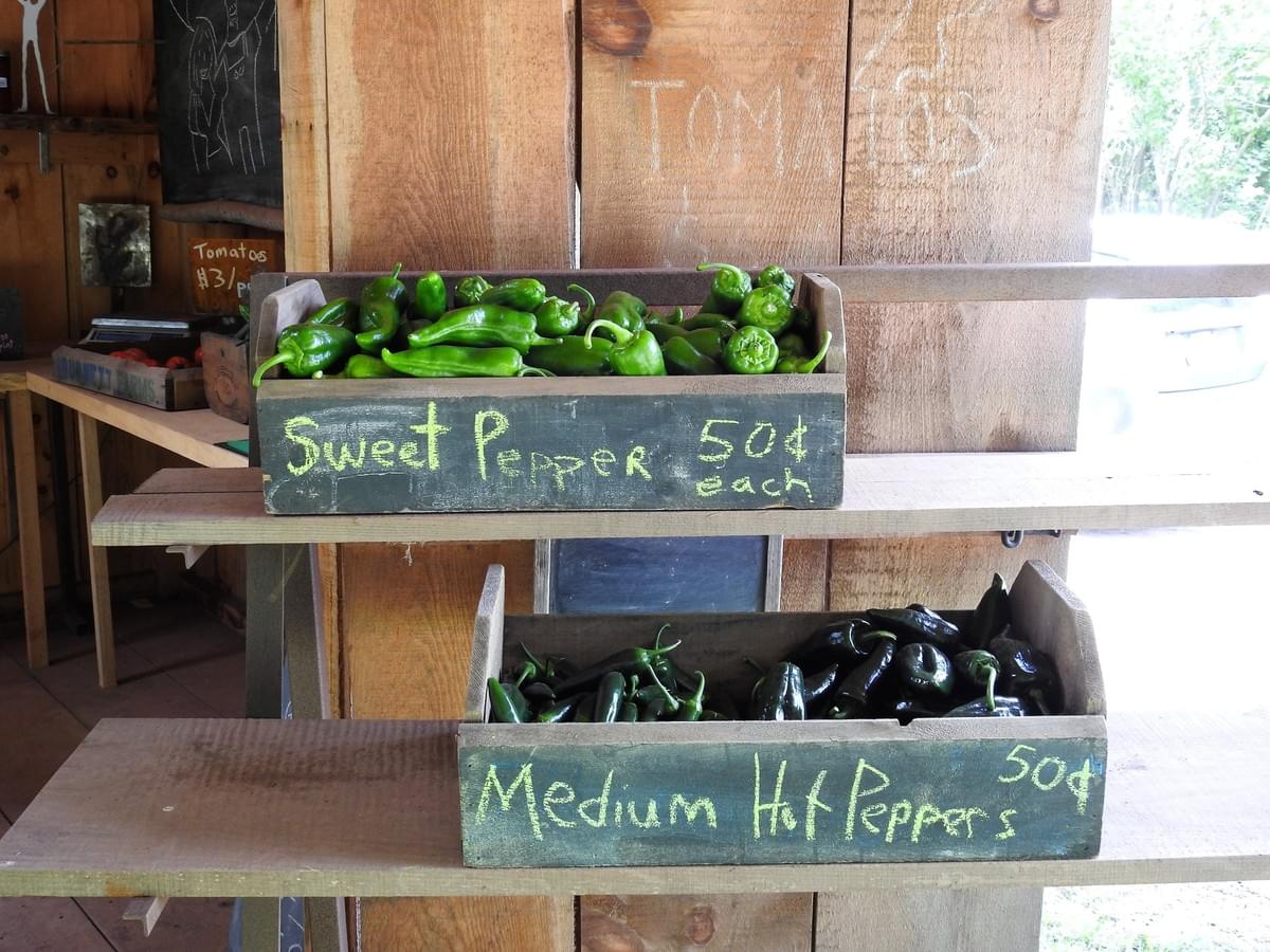 Farms Farm Store Vegetables Flowers