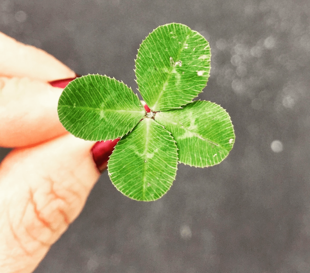 心靈世紀/心靈小品/生活智慧