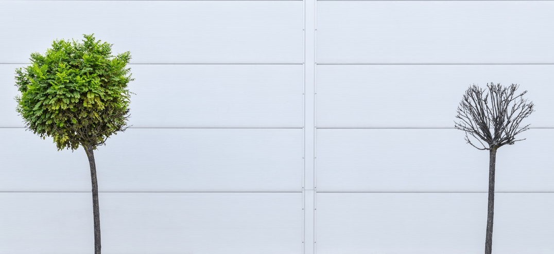 心靈世紀/心靈小品/生活智慧