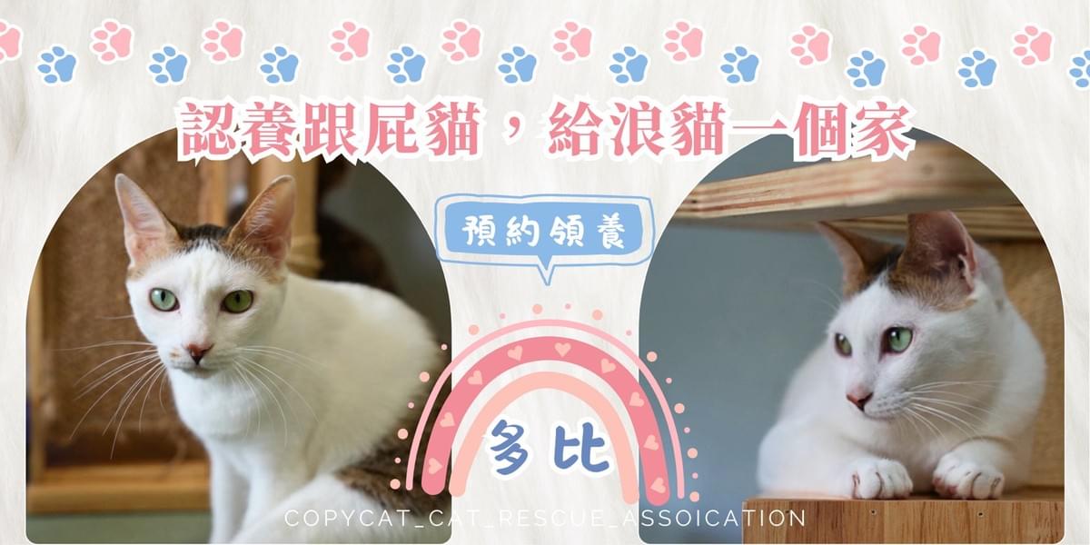 多比