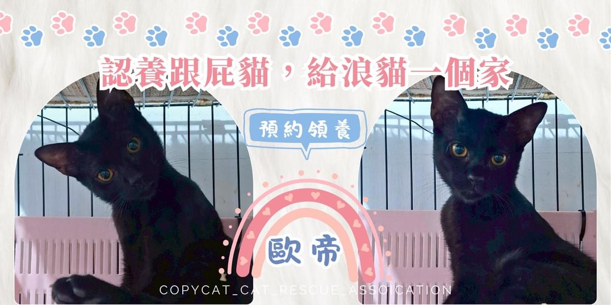 歐帝
