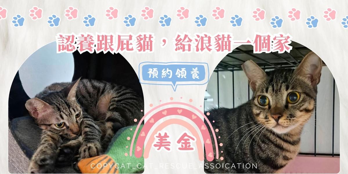 美金