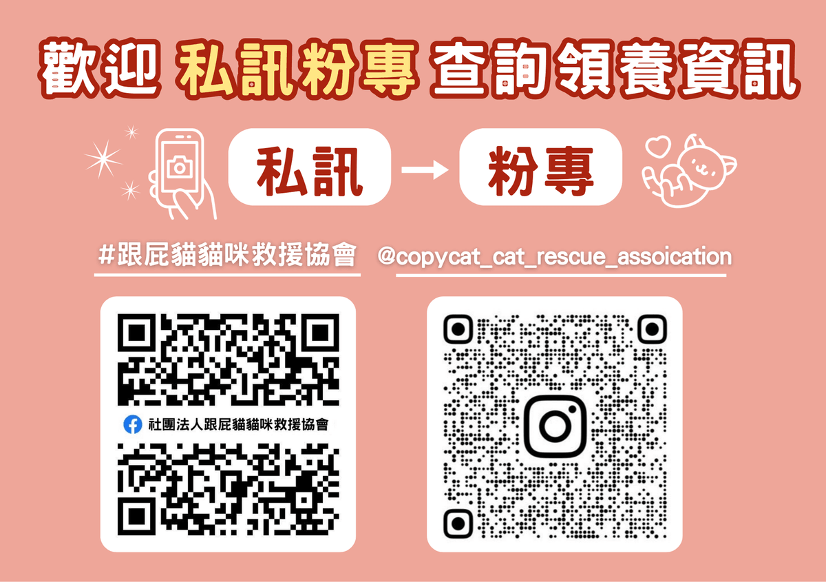 滿滿
