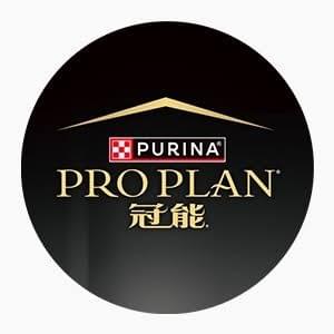 喵喵小窩豆腐砂