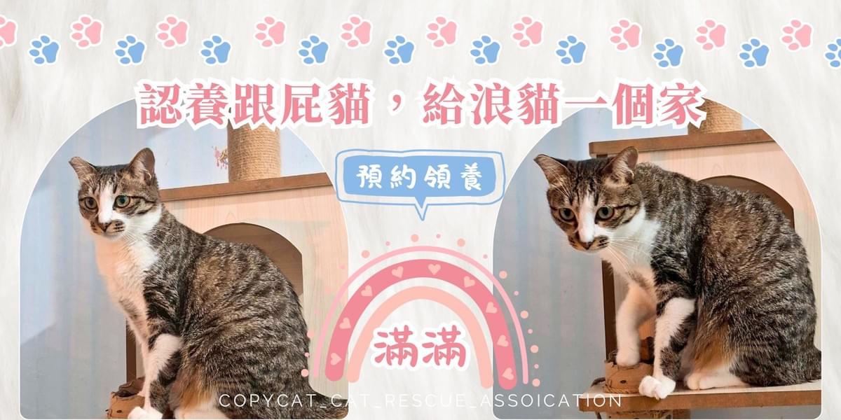 滿滿