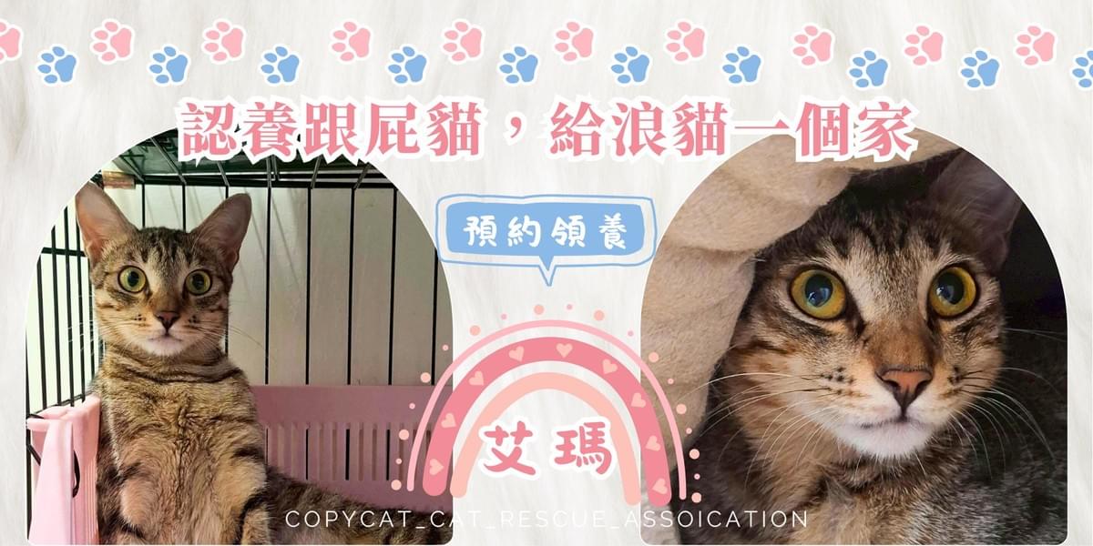 艾瑪