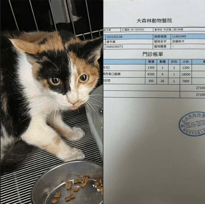 腹膜炎咪卡（編號：1130207006）