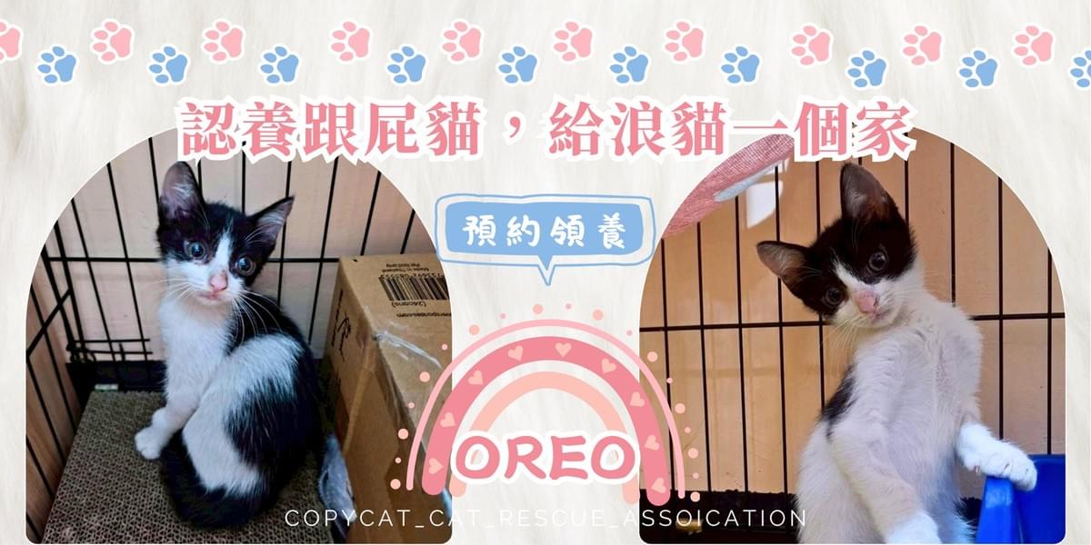 Oreo