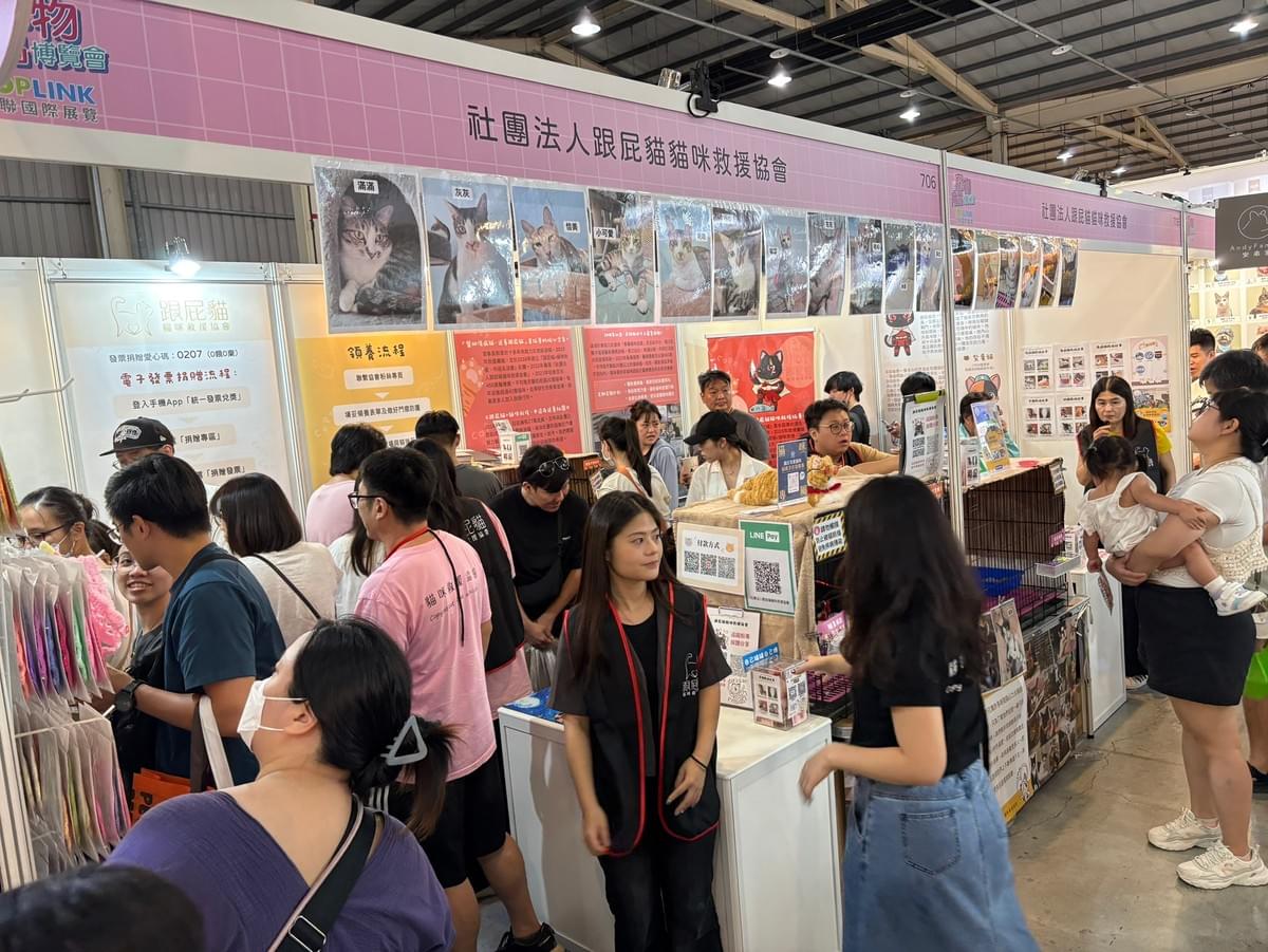 寵物展，愛心義賣，貓咪，領養。