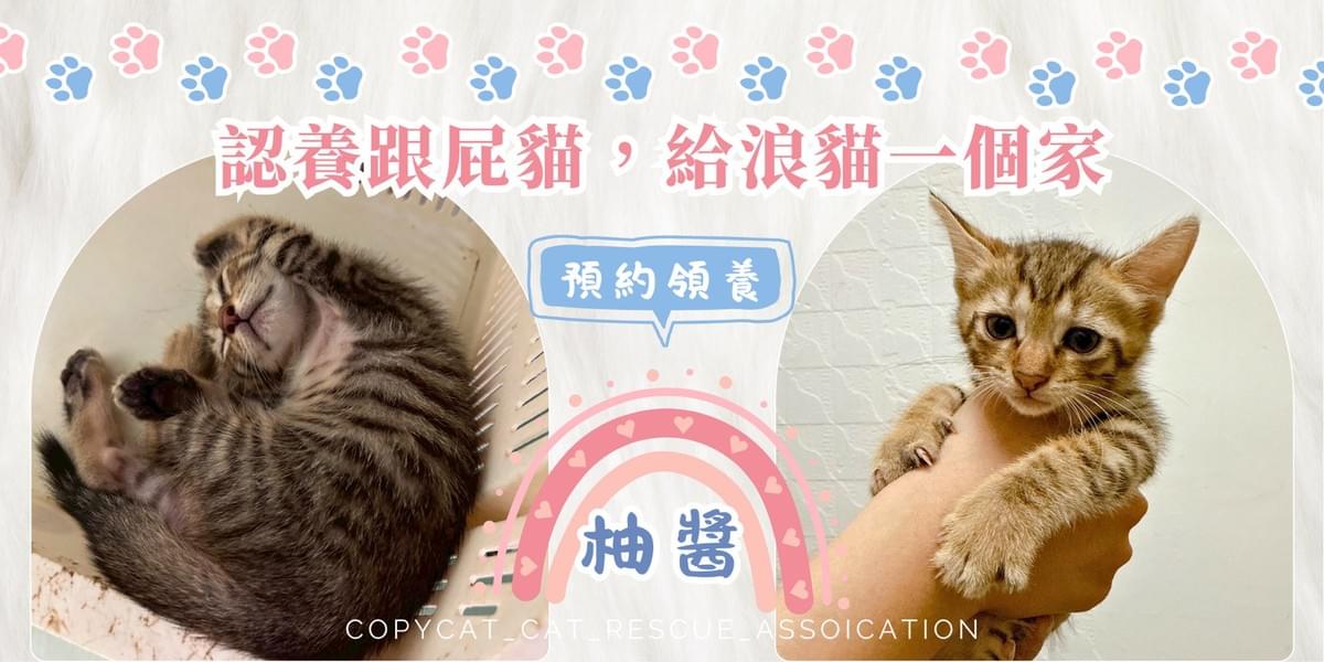 柚醬